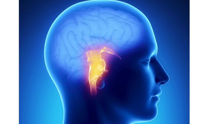 Brain Tumor Surgery Cost in India CT scan to Recovery
